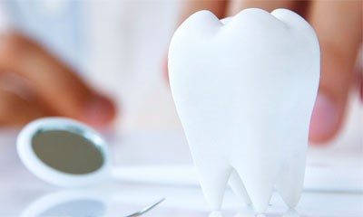 Dental Diş
